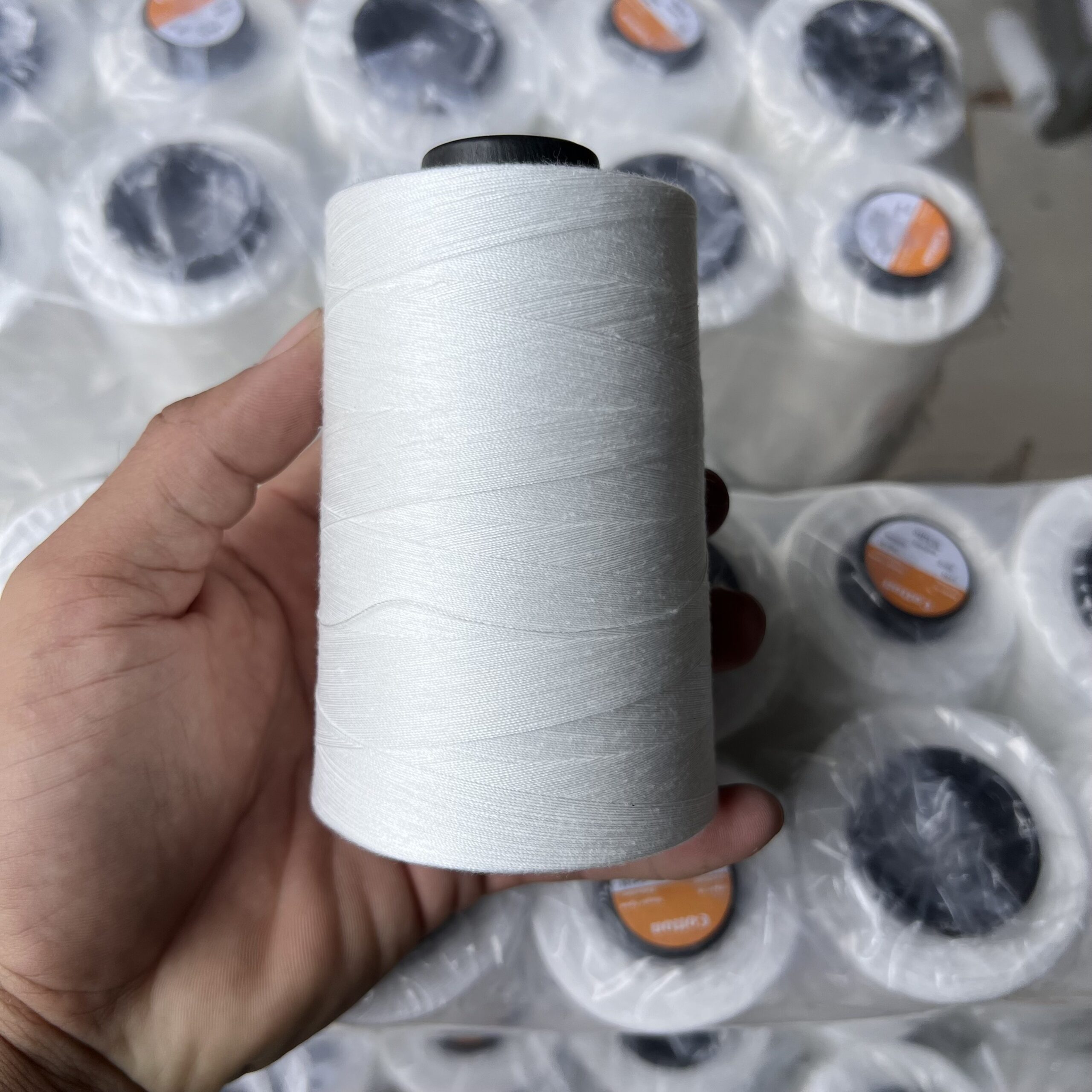 Chỉ trắng công ty 40/2
